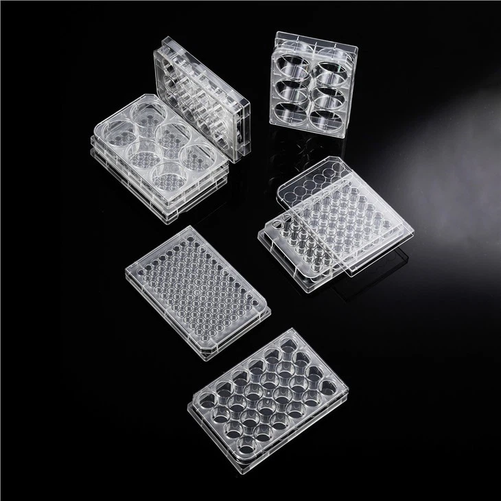 6/12/24/36/48/96-Well TC Treated Cell Culture Plates